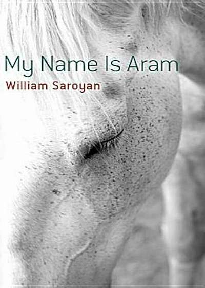 My Name Is Aram, Paperback