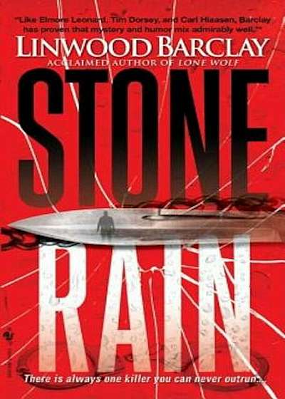 Stone Rain, Paperback