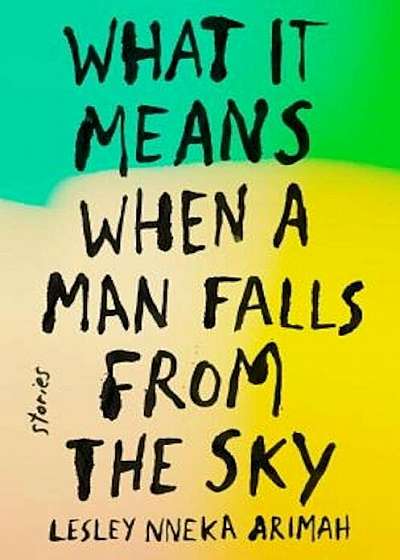 What It Means When a Man Falls from the Sky: Stories, Hardcover