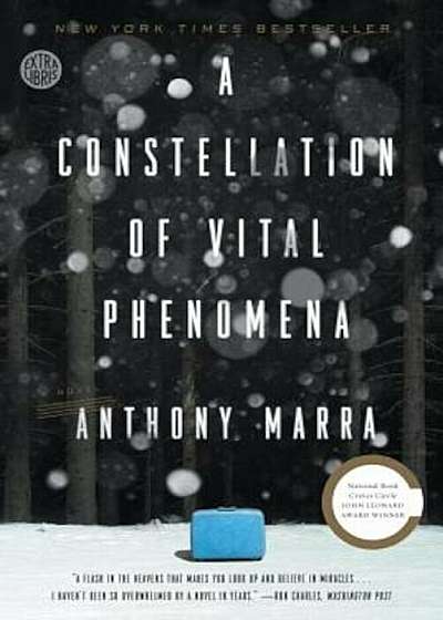 A Constellation of Vital Phenomena, Paperback
