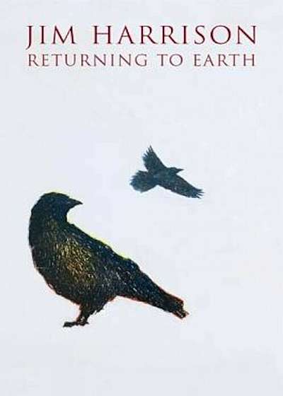 Returning to Earth, Paperback