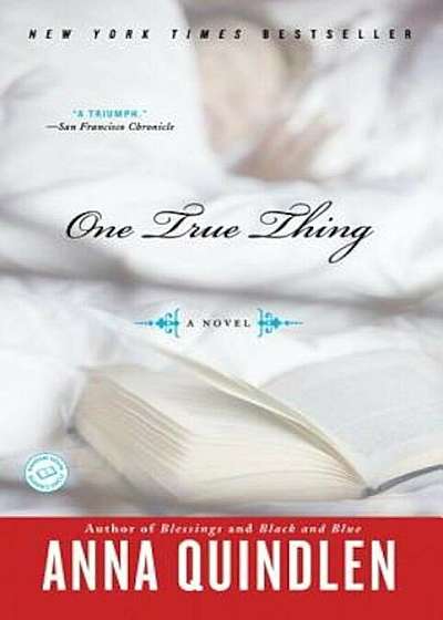 One True Thing, Paperback