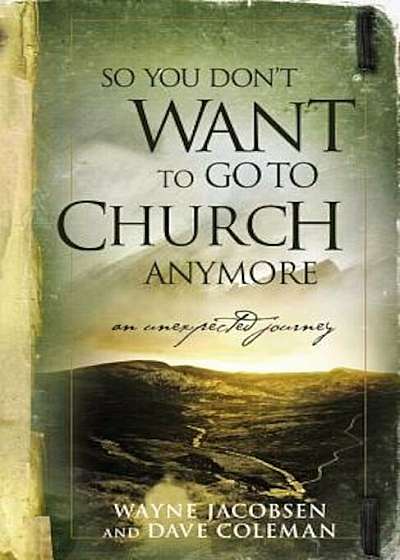 So You Don't Want to Go to Church Anymore: An Unexpected Journey Into the Reality of the Father's Family, Paperback