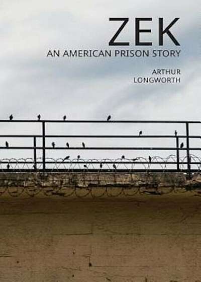 Zek: An American Prison Story, Paperback