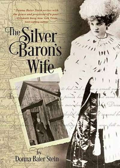 The Silver Baron's Wife, Paperback