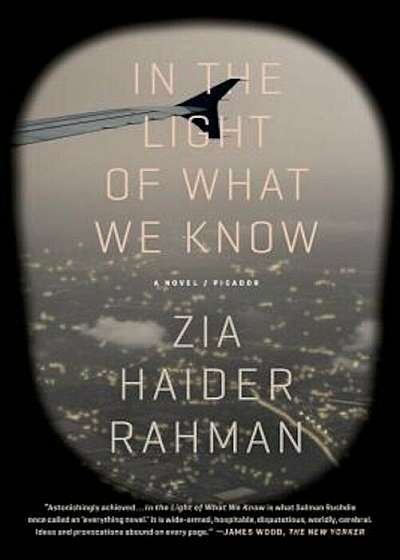 In the Light of What We Know, Paperback