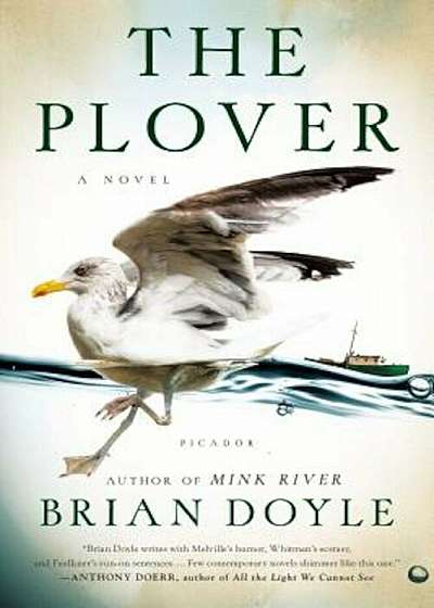 The Plover, Paperback