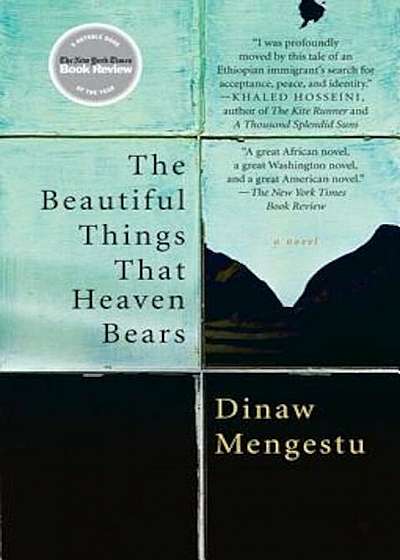 The Beautiful Things That Heaven Bears, Paperback