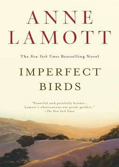 Imperfect Birds, Paperback