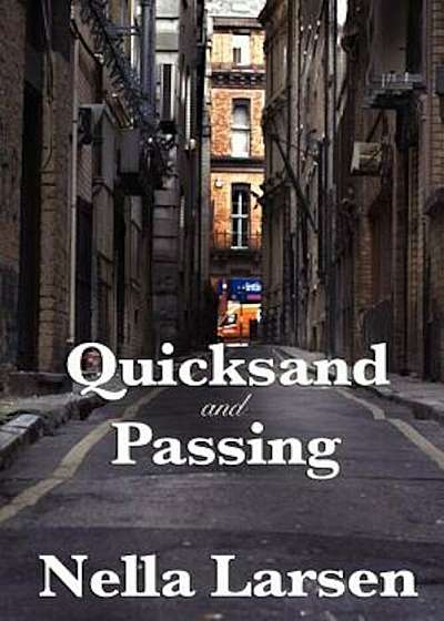 Quicksand and Passing, Paperback