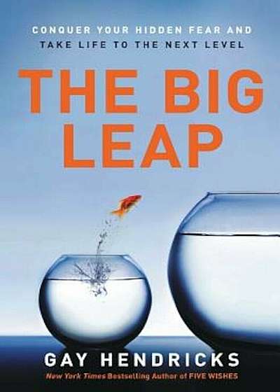 The Big Leap: Conquer Your Hidden Fear and Take Life to the Next Level, Paperback