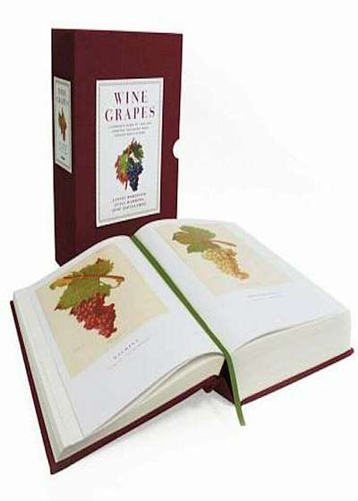 Wine Grapes: A Complete Guide to 1,368 Vine Varieties, Including Their Origins and Flavours, Hardcover