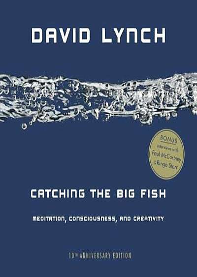 Catching the Big Fish: Meditation, Consciousness, and Creativity, Paperback