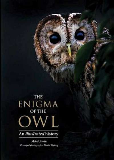 The Enigma of the Owl: An Illustrated Natural History, Hardcover