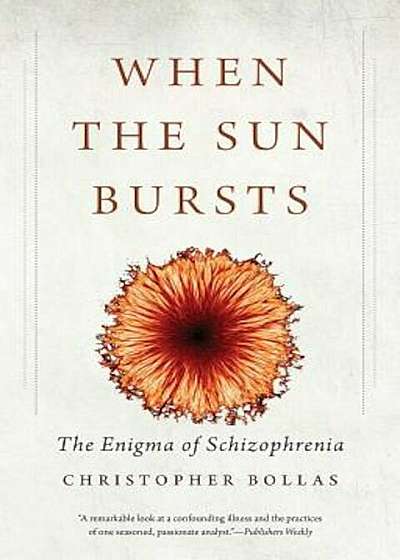 When the Sun Bursts: The Enigma of Schizophrenia, Paperback