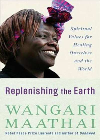 Replenishing the Earth: Spiritual Values for Healing Ourselves and the World, Paperback
