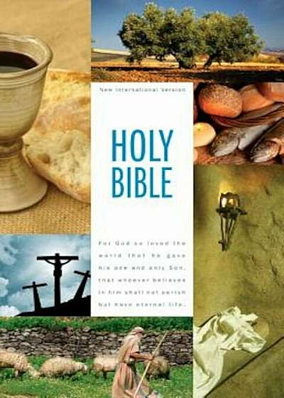 Textbook Bible-NIV, Hardcover