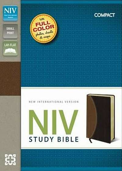 Study Bible-NIV-Compact, Hardcover