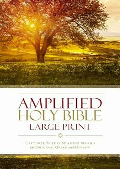 Amplified Bible-Am-Large Print: Captures the Full Meaning Behind the Original Greek and Hebrew, Hardcover