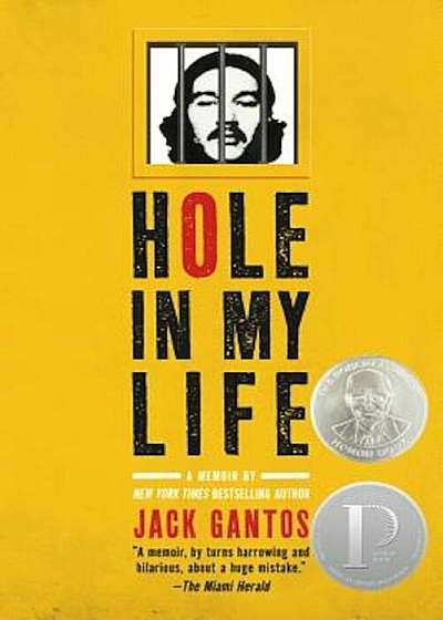 Hole in My Life, Paperback