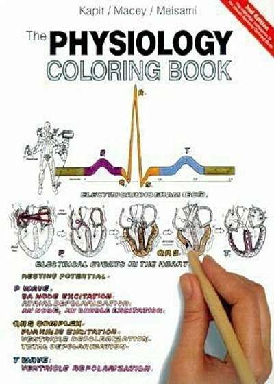 The Physiology Coloring Book, Paperback