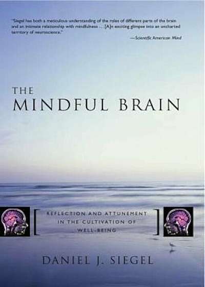 The Mindful Brain: Reflection and Attunement in the Cultivation of Well-Being, Hardcover