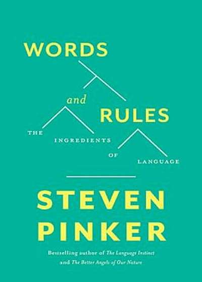 Words and Rules: The Ingredients of Language, Paperback
