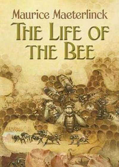 The Life of the Bee, Paperback
