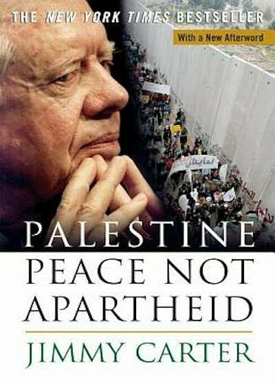 Palestine Peace Not Apartheid, Paperback