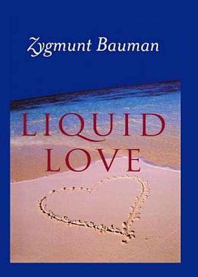 Liquid Love: On the Frailty of Human Bonds, Paperback