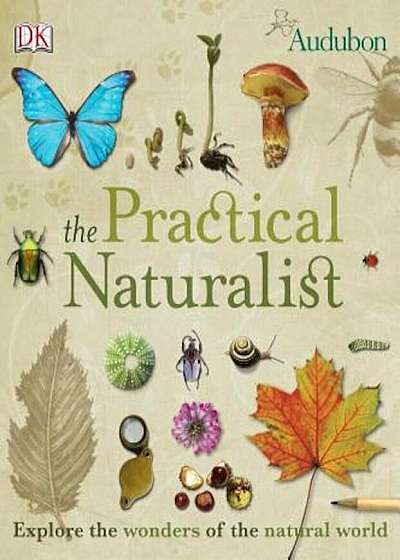 The Practical Naturalist: Explore the Wonders of the Natural World, Paperback
