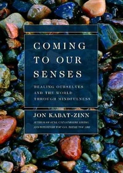 Coming to Our Senses: Healing Ourselves and the World Through Mindfulness, Paperback