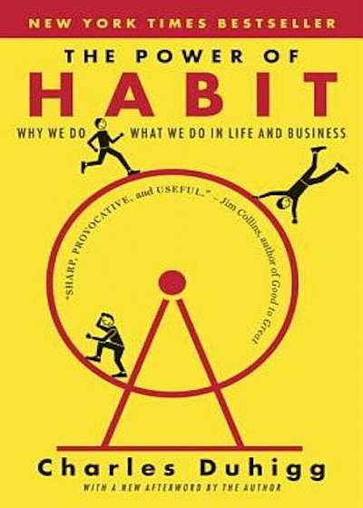The Power of Habit: Why We Do What We Do in Life and Business, Paperback