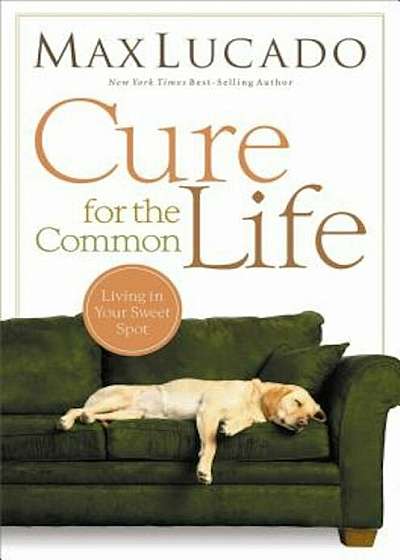 Cure for the Common Life, Paperback