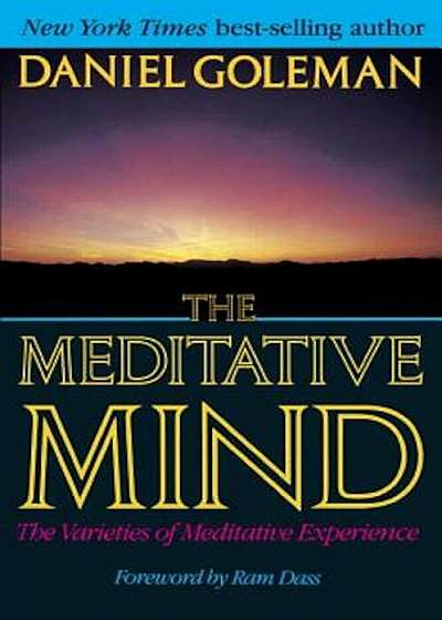 The Meditative Mind, Paperback