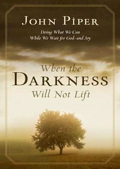 When the Darkness Will Not Lift: Doing What We Can While We Wait for God--And Joy, Paperback