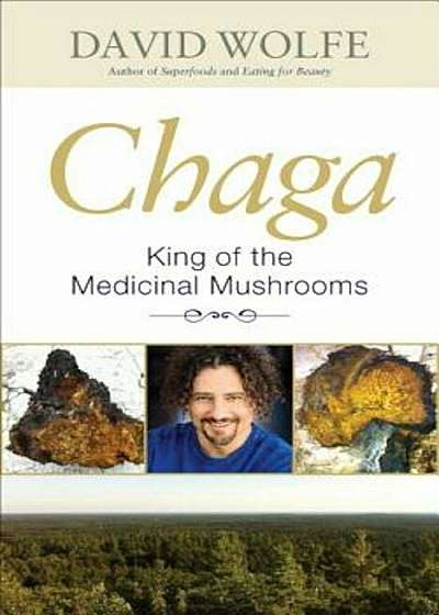 Chaga: King of the Medicinal Mushrooms, Paperback