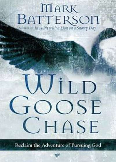 Wild Goose Chase: Reclaim the Adventure of Pursuing God, Paperback