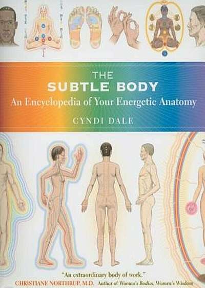 The Subtle Body: An Encyclopedia of Your Energetic Anatomy, Paperback