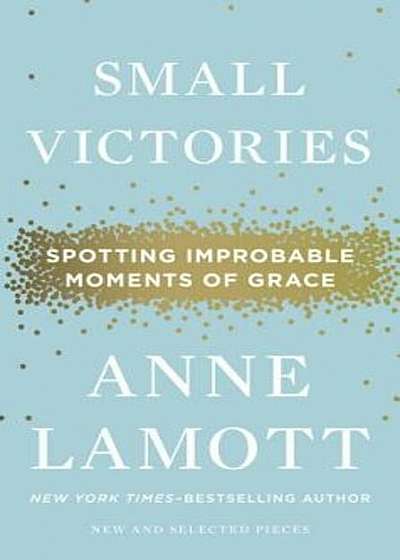 Small Victories: Spotting Improbable Moments of Grace, Hardcover