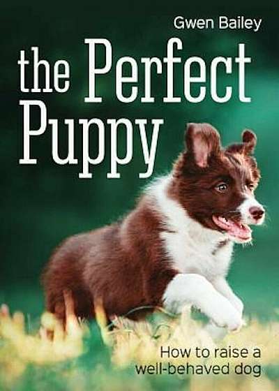 The Perfect Puppy, Paperback