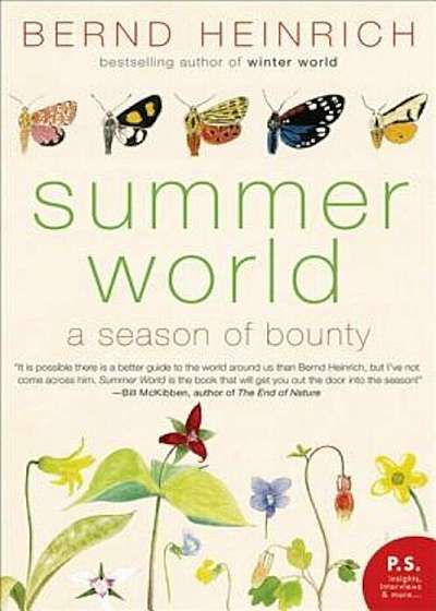 Summer World: A Season of Bounty, Paperback