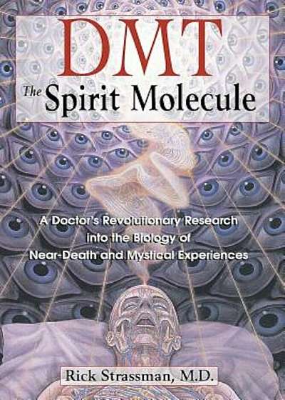 Dmt: The Spirit Molecule: A Doctor's Revolutionary Research Into the Biology of Near-Death and Mystical Experiences, Paperback
