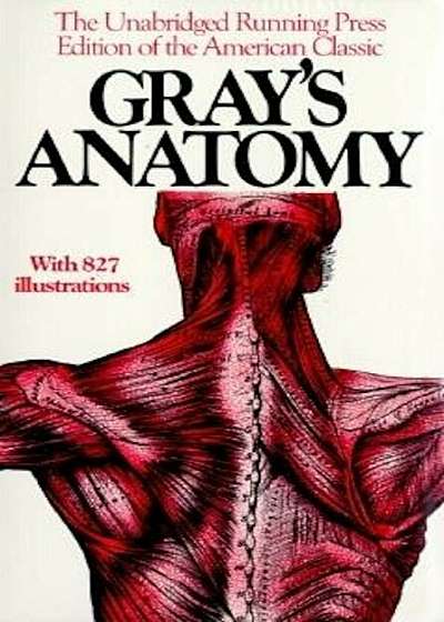 Gray's Anatomy, Paperback