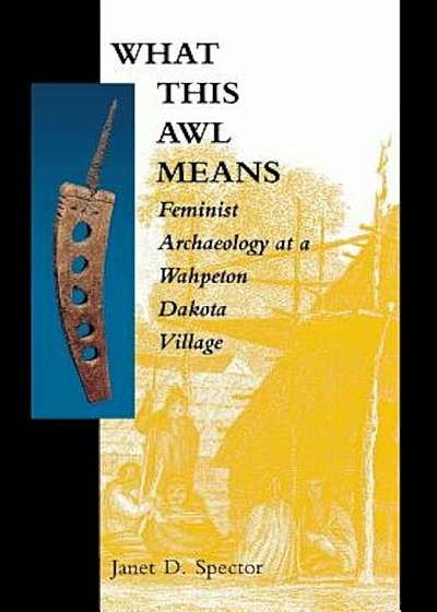 What This Awl Means: Feminist Archaeology at a Wahpeton Dakota Village, Paperback