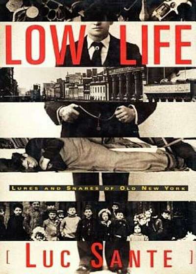 Low Life: Lures and Snares of Old New York, Paperback