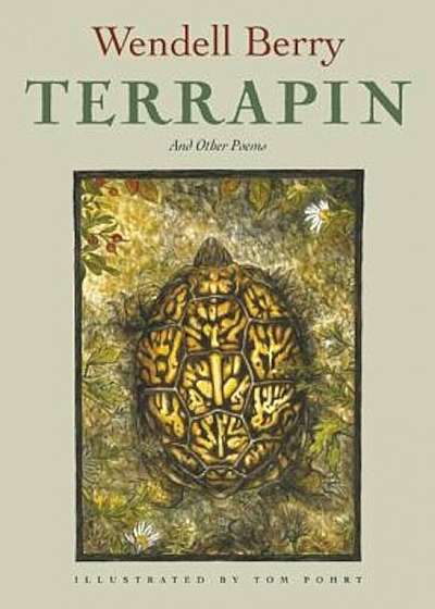 Terrapin: Poems, Paperback
