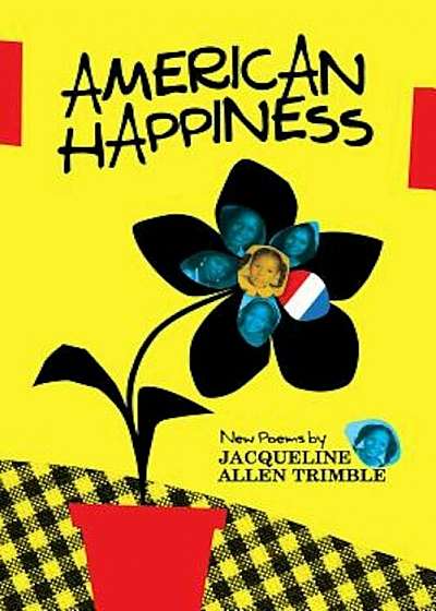 American Happiness, Hardcover