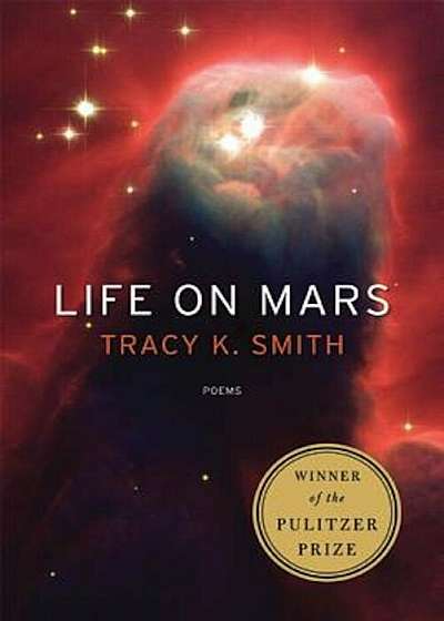 Life on Mars, Paperback