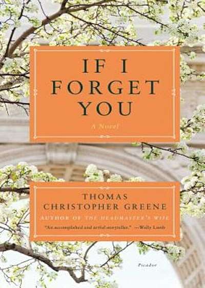 If I Forget You, Paperback